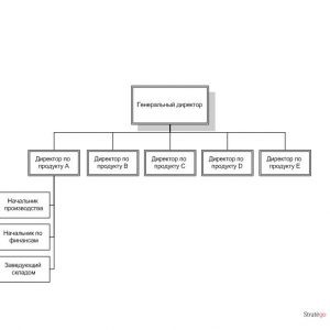 Пример дивизиональной организационной структуры