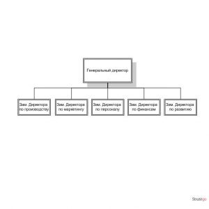 функциональная организационная структура