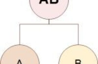 Декомпозиция целей организации