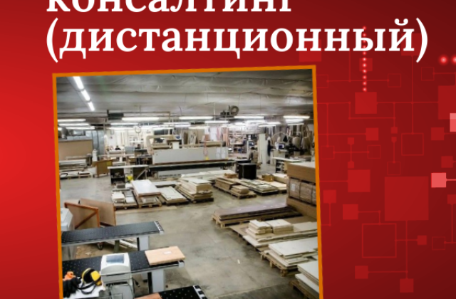 Онлайн-консалтинг (с дистанционным консультированием) мебельной фабрики